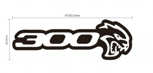 300 JAGUAR